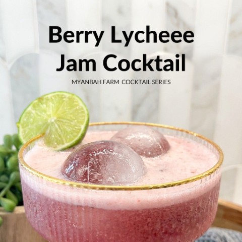 Berry Lychee Cocktail Recipe